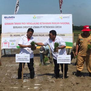 Petrokimia Gresik Kampanyekan Pemupukan Berimbang di Lampung