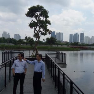 Intiland Kembali Rilis Tipe Kecil di Graha Natura Surabaya