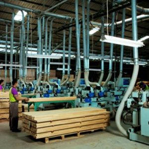 Perbesar Market di AS dan Eropa, WOOD Optimis Tahun Ini Penjualannya Tumbuh 25 Persen