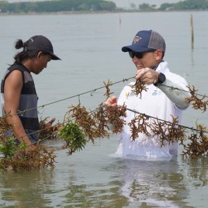 Dukung Petani Rumput Laut, Ini Upaya Kliring Berjangka Indonesia