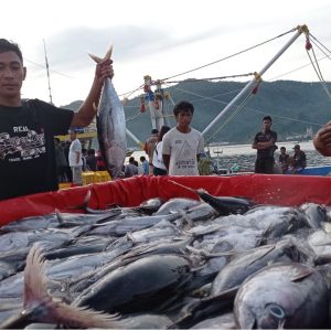Sistem Resi Gudang Diminati Nelayan, Registrasi Resi Gudang Komoditas Ikan Meningkat Tajam