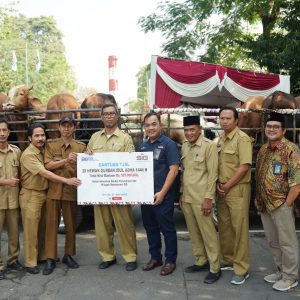 Momen IdulAdha 1444 H, SIG Salurkan 489 Hewan Kurban di 20 Provinsi