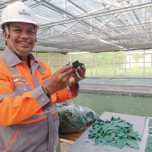 Kinerja Positif, SIG Catatkan Laba Rp 866 Miliar pada Semester I/2023