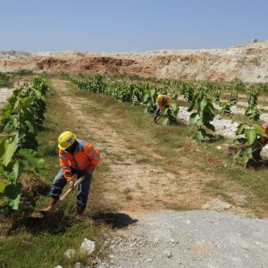 SIG Masuk Top 10 Emiten Bahan Baku Konstruksi dengan Rating ESG Terbaik di Asia Tenggara   