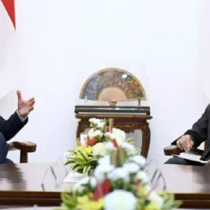 Rencana Bangun Pabrik di Indonesia, CEO Apple Temui Presiden Jokowi di Istana Merdeka