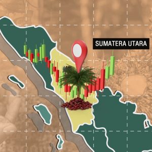 Intensif Gelar Sosialisasi, ICDX Bidik Potensi Pasar Fisik CPO di Sumatera Utara