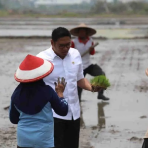 Wamentan: Demi Ketahanan Pangan Indonesia, Cetak 3 Juta Hektar Sawah