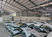 PT Nusa Palapa Gemilang Tbk (NPG) Bangkit dari Kerugian, Raih Laba Signifikan di Q1 2025