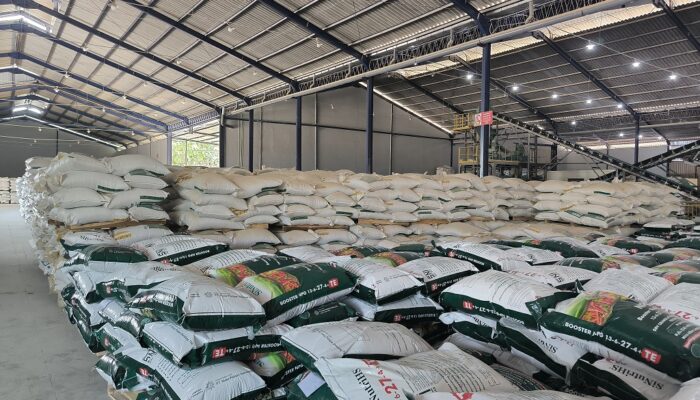 PT Nusa Palapa Gemilang Tbk (NPG) Bangkit dari Kerugian, Raih Laba Signifikan di Q1 2025