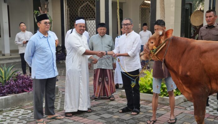 Berbagi Berkah dan Kebahagiaan Idul Adha, PGN Group Bagikan 955 Hewan Kurban untuk Masyarakat