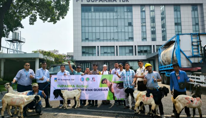 Berbagi Rasa Saat Momen Hari Raya Idul Adha, PT Suparma Bagikan 6 Hewan Kurban pada Masyarakat Sekitar