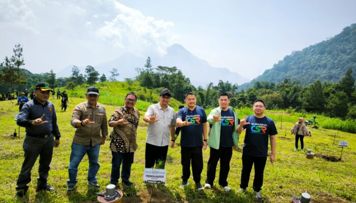 Komitmen Jaga Lingkungan dan Kurangi Emisi Karbon, PT Suparma Tanam 1.000 Pohon Pinus di Kawasan Hutan Lindung Pacet