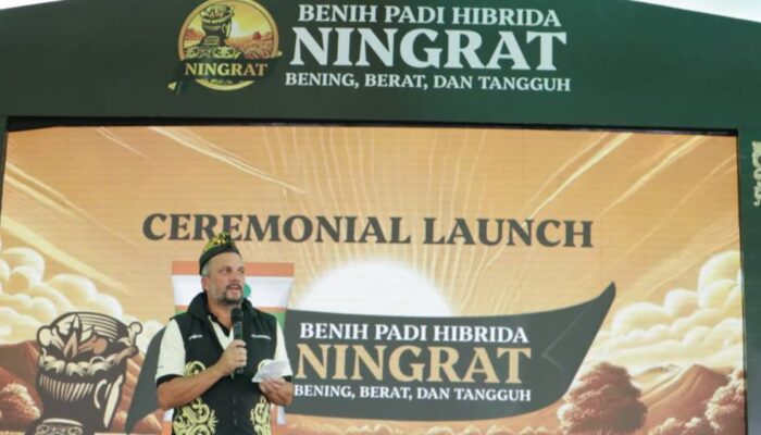 Syngenta Luncurkan Benih Padi Hibrida Ningrat NK2133 Dukung Swasembada Beras