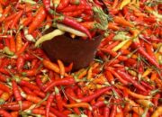 Harga Cabai Rawit di Kediri Kembali Melonjak, Pasokan Mulai Menipis