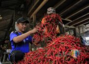 Harga Cabai Keriting di Kediri Meroket Rp9.000