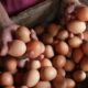 Harga Telur di Jombang Terus Meroket, Tembus Rp29 Ribu/Kg, Pedagang Keluhkan Daya Beli Turun