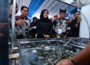 Atasi Hambatan Ekspor AS, Ratusan Pelaku Industri Udang Gelar Shrimp Fair 2025 di Banyuwangi