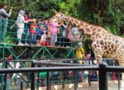 Seleksi Dirut KBS Surabaya Berlangsung Transparan, Pemkot Tegaskan Profesionalisme Proses