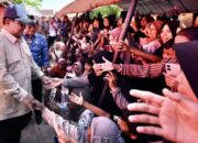 Operator Diminta Gratiskan Internet untuk Pengungsi Selama Tanggap Darurat