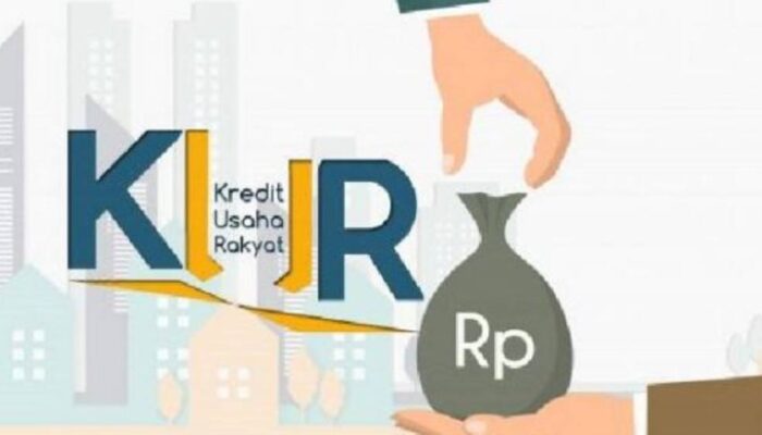 KUR 2026 Bakal Lebih Selektif, Targetkan UMKM Siap dan Berkembang