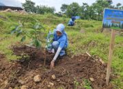 StatsMe Pilih Aksi Tanam Pohon Produktif untuk Maknai Hari Ibu