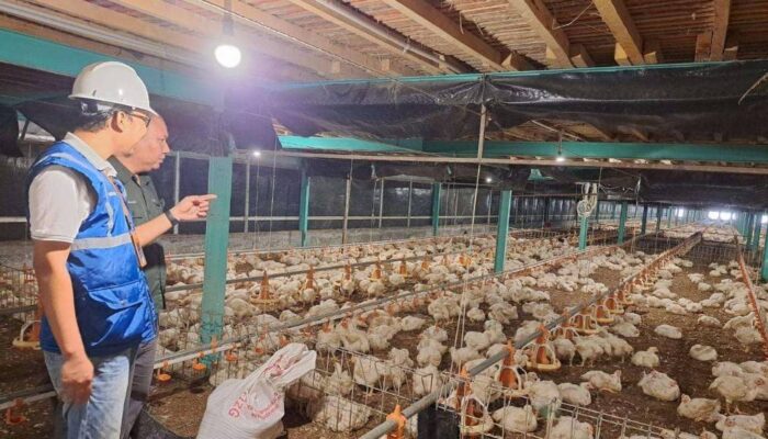 Resmi, Tarif Listrik Triwulan I 2026 Tidak Mengalami Kenaikan