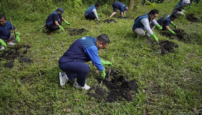 Hijaukan Jawa Timur, PT Terminal Petikemas Surabaya Tanam 120 Bibit Pinus di Coban Talun