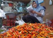 Pasokan Berkurang, Harga Cabai Kediri Meroket