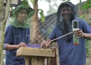 Dari Hulu ke Pesisir: Kisah Para Penjaga Hutan yang Menghidupkan Ekonomi Indonesia