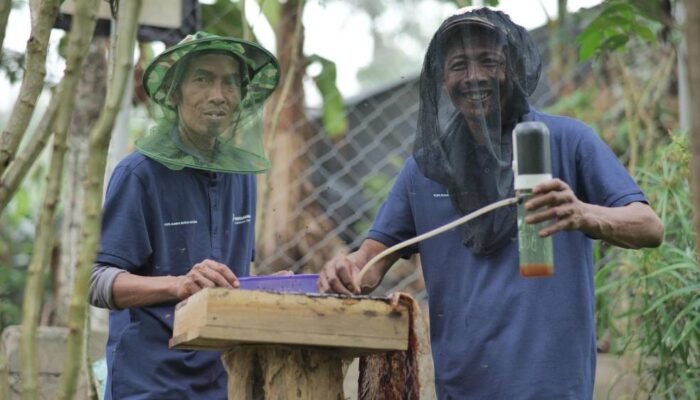 Dari Hulu ke Pesisir: Kisah Para Penjaga Hutan yang Menghidupkan Ekonomi Indonesia