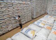 Hadapi Gejolak Timur Tengah, Pemerintah Jamin Ketahanan Pangan RI