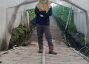 Menjaga yang Tak Terlihat : Potensi Besar di Balik Lahan BUMN Perkebunan