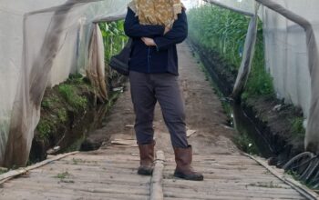 Menjaga yang Tak Terlihat : Potensi Besar di Balik Lahan BUMN Perkebunan