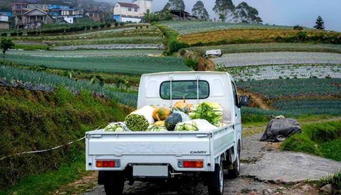 UMKM dan Program Nasional, Dongkrak Penjualan Suzuki New Carry di 2026