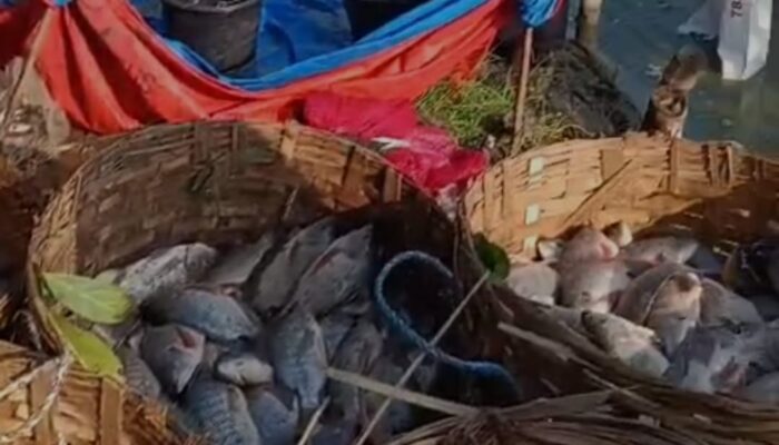 BI: Triwulan I/ 2026, Dunia Usaha Tunjukan Kinerja yang Solid