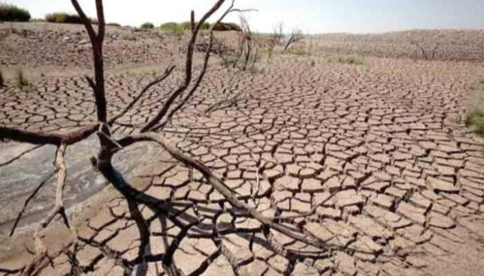 Kemarau 2026 Maju dari Jadwal, BMKG Beberkan Prediksinya