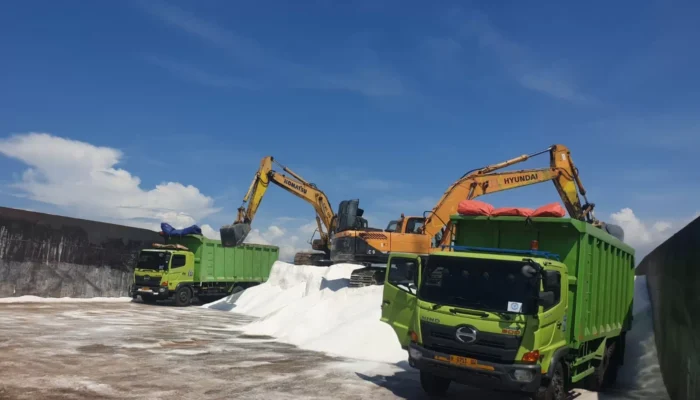 Garam Impor hampir 15 Ribu Ton dari Australia Dibongkar di Cirebon