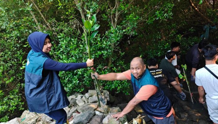 Hijaukan Pesisir Surabaya, PT Terminal Petikemas Surabaya Salurkan 3.000 Bibit Mangrove di Sontoh Laut