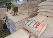 RI Lepas Ekspor Perdana Pupuk Urea ke Australia, Nilainya Tembus Rp7 Triliun