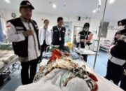 BPJS Kesehatan Ingatkan Pentingnya JKN Aktif bagi Jemaah Haji