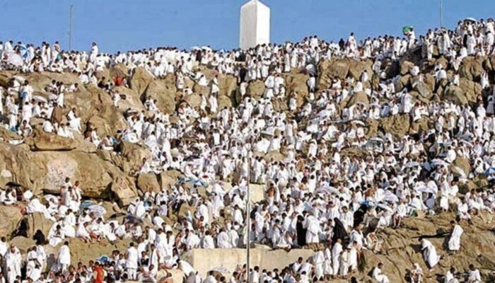 Jemaah Haji Indonesia Mulai Bergerak ke Arafah, Pemerintah Pastikan Proses Berjalan Lancar