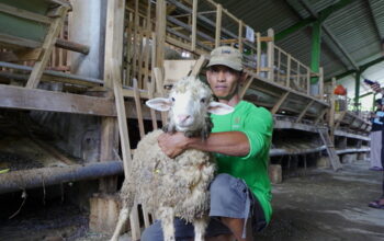 Bagaimana Keabsahan Syariah Kurban Digital? Begini Penjelasan Pakar Unair