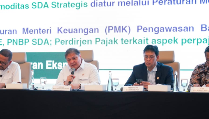 Pemerintah Matangkan Operasional PT Danantara Sumberdaya Indonesia