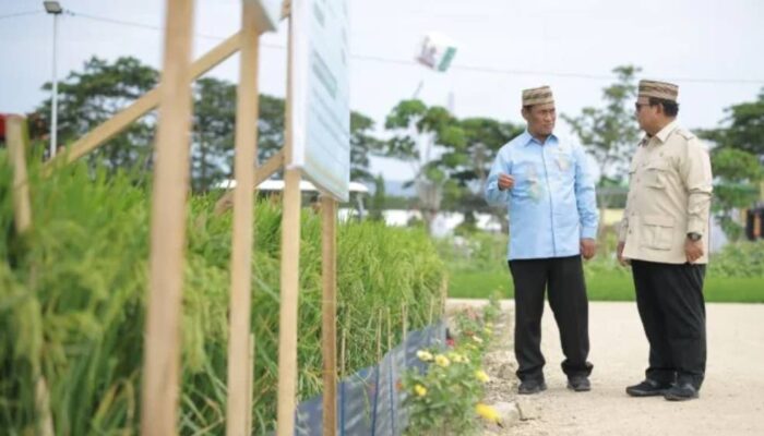 Prabowo Pastikan Ketahanan Pangan Berlanjut, NTP Tertinggi Sejak 34 Tahun Terakhir