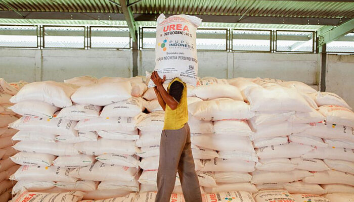 Stok Pupuk Bersubsidi Tercatat Capai 1,23 Juta Ton