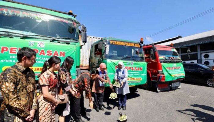 Banyuwangi Kembali Catatkan Ekspor Perikanan, 270 Ton Ikan Sarden Dikirim ke Eropa hingga Kamboja