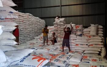 Produksi Padi Melimpah, Banyuwangi Amankan Stok Beras Nasional hingga 129 Ribu Ton