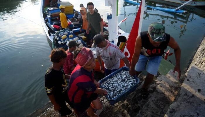 Delegasi ASEAN Pelajari Praktik Ekonomi Biru Berkelanjutan di Banyuwangi