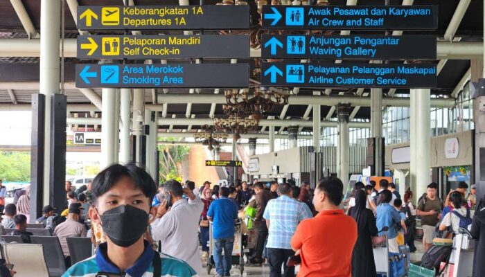 Kemenhub: Hanya 388 Pesawat yang Siap Terbang, Tiket Pesawat Masih Mahal