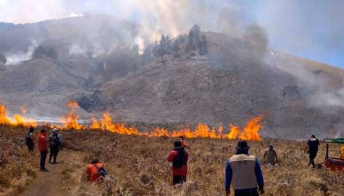 Bromo Kembali Dibuka 20 Agustus, Menhut Imbau Wisatawan Tak Pakai Api Unggun dan Sembarangan Merokok